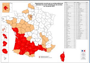 Carte infestation termites 